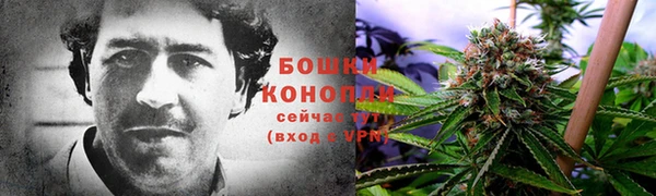 СК Беломорск