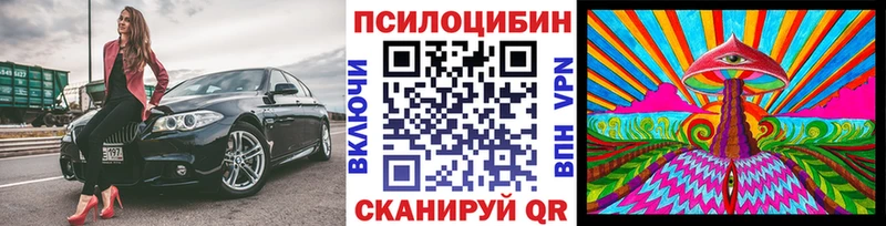 Псилоцибиновые грибы GOLDEN TEACHER  маркетплейс официальный сайт  Чекалин  hydra зеркало 